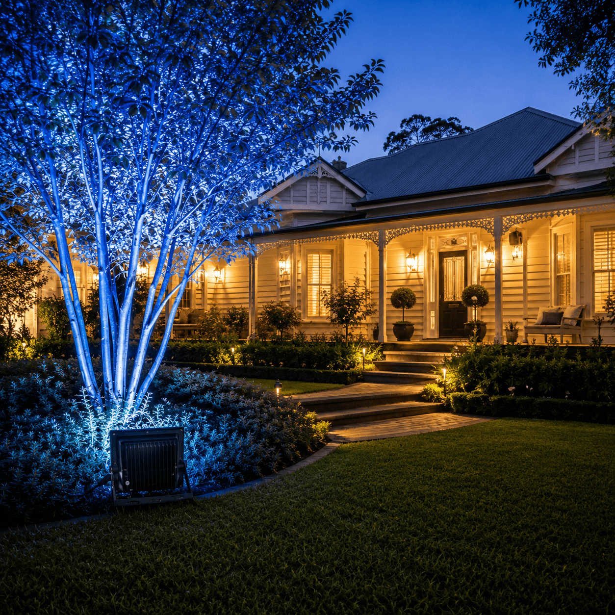Blue solar light kit casting a powerful decorative color accent up a garden tree in front of a traditional Australian weatherboard home facade.