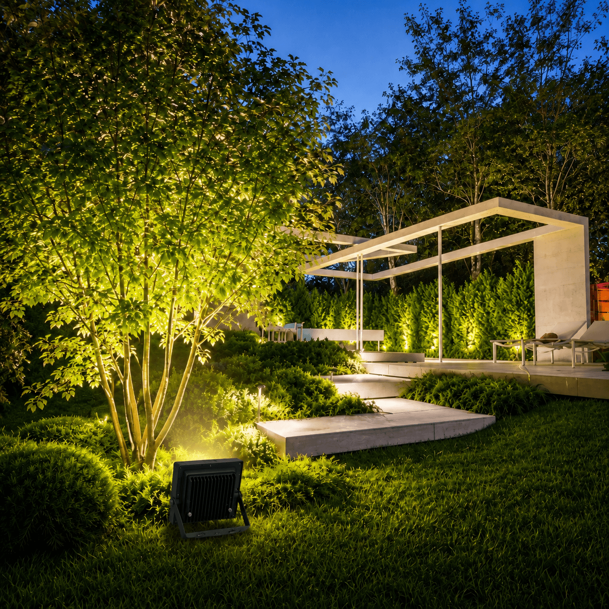 Warm white solar flood light accentuating backyard landscaping foliage and walkways in a modern Australian garden design.