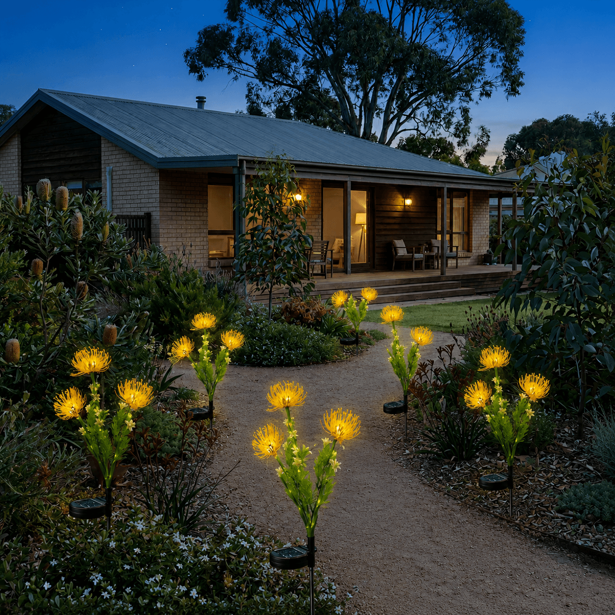 Multiple decorative yellow spider chrysanthemum solar flower garden lights illuminating a dirt pathway outside an Australian brick cottage house at twilight.