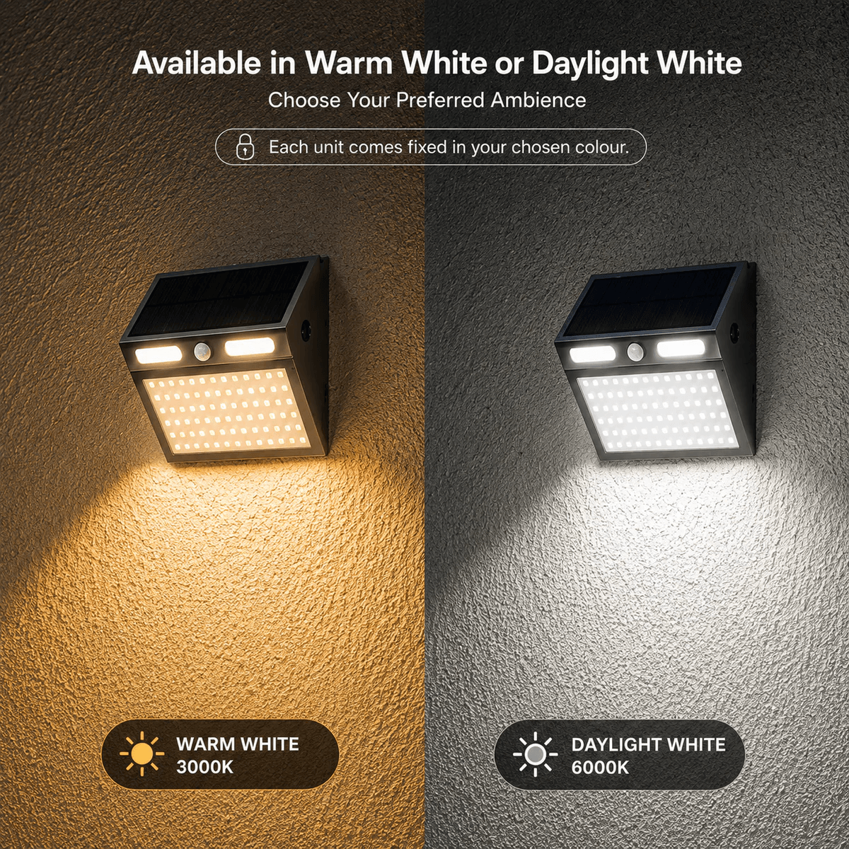 Side-by-side comparison of a stainless steel solar sensor wall light in warm white 3000K ambient illumination and daylight white 6000K bright security lighting.